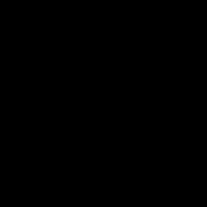 Meet your Posher, Lacey